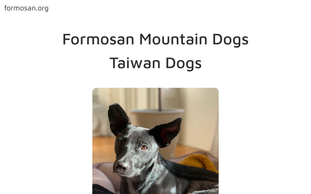 Formosan Mountain Dogs Formosan Org